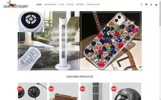 Storeacaccessories.com Screenshot 2024-05-22 22:53:34