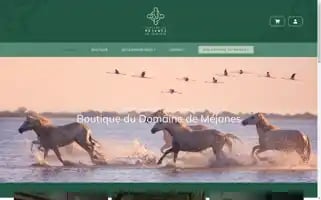 Boutique-domainedemejanes.fr Screenshot 2024-05-20 15:38:24
