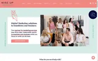 Wiseupmarketing.com.au Screenshot 2024-06-27 23:23:37