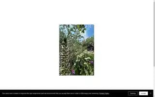 Ericd-roadtripphotographic.com Screenshot 2024-04-25 03:34:30