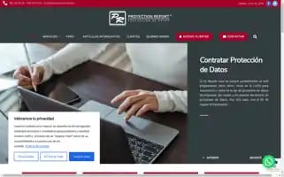 Protectionreport.com Screenshot 2024-06-17 01:59:14