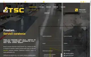 Transilvaniaservicii.ro Screenshot 2024-06-14 14:55:53