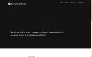 Caelum.vc Screenshot 2024-06-27 16:07:06