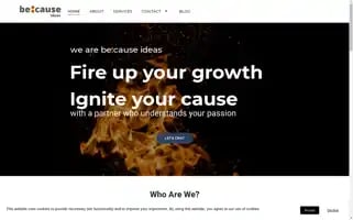 Because-ideas.com Screenshot 2024-06-18 18:12:24