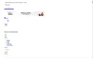 Carelinctus.com Screenshot 2024-05-18 12:47:06