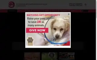 Friendshipapl.org Screenshot 2024-06-12 00:00:54