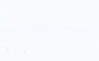 Bosnakborekcisi.com Screenshot 2024-07-08 10:41:10