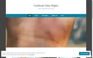 Cardinalstakeflight.com Screenshot 2024-04-26 22:49:58