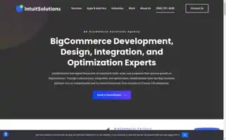 Intuitsolutions.net Screenshot 2024-06-13 05:07:03