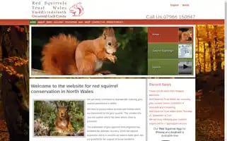 Redsquirrels.info Screenshot 2024-06-29 23:41:50