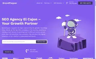 Brandpepper.io Screenshot 2024-06-26 22:16:31