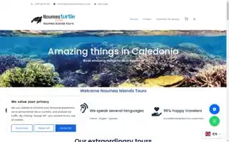 Noumeaturtletours.com Screenshot 2024-04-22 12:09:09