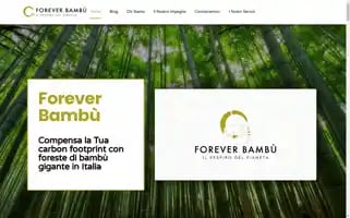 Foreverbambu.com Screenshot 2024-06-18 04:13:07