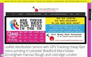 Localleafletpromotion.com Screenshot 2024-06-12 03:25:23