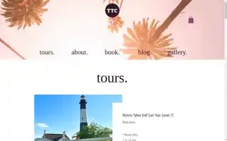 Tybeetourcompany.com Screenshot 2024-04-17 13:01:21