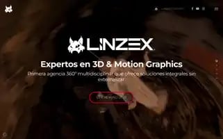 Linzexstudios.com Screenshot 2024-07-04 14:24:33