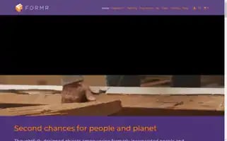 Theformr.com Screenshot 2024-05-04 23:43:29