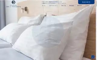 Newcastle-hotel.com Screenshot 2024-04-25 15:17:36