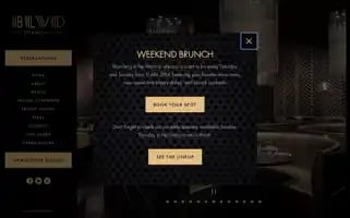 Blvdchicago.com Screenshot 2024-05-15 14:53:58