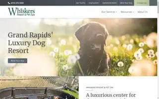 Whiskerspetresort.com Screenshot 2024-07-01 22:45:03