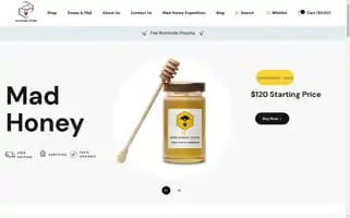 Mad-honey.store Screenshot 2024-05-28 19:50:25