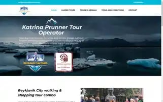 Reykjavikfuntours.com Screenshot 2024-04-24 01:59:11