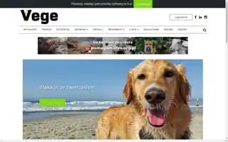 Vege.com.pl Screenshot 2024-06-14 22:44:52