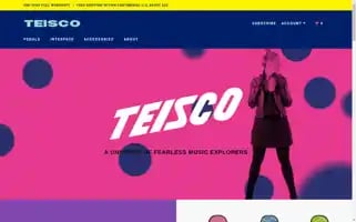 Teisco.com Screenshot 2024-05-05 09:28:22