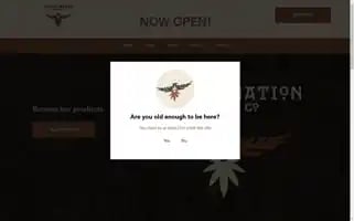 Tribalnationflowerco.com Screenshot 2024-06-26 15:18:07