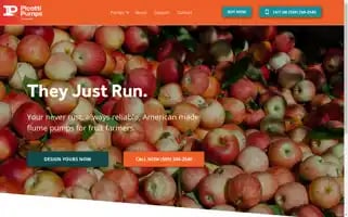 Picattipumps.com Screenshot 2024-07-01 08:29:52