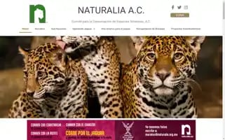 Naturalia.org.mx Screenshot 2024-07-01 15:46:22