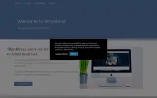 Braystone.co.uk Screenshot 2024-06-28 15:23:56