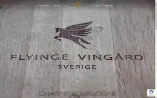 Flyingevingard.com Screenshot 2024-07-02 22:16:26