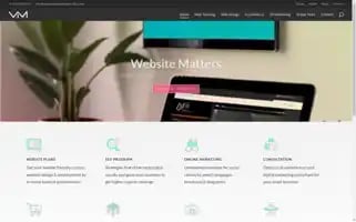 Webandmarketingstudio.com Screenshot 2024-06-13 09:08:39