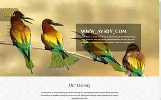 Nnphm.top Screenshot 2024-07-07 16:03:36