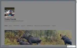 Trumstravels.com Screenshot 2024-04-24 07:35:47