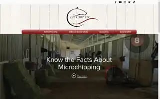 Lipchipllc.com Screenshot 2024-07-05 02:50:08