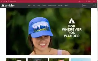 Amblermw.com Screenshot 2024-05-05 06:38:11