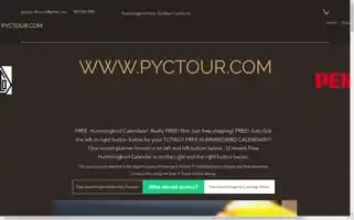 Pyctour.com Screenshot 2024-04-22 18:04:43