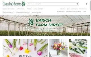 Baischandskinner.com Screenshot 2024-05-05 21:45:49