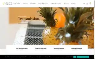 Lilamand.com Screenshot 2024-07-02 23:29:38