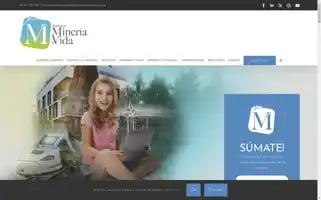 Fundacionmineriayvida.org Screenshot 2024-07-02 09:01:22