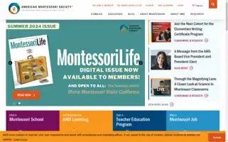 Amshq.org Screenshot 2024-06-13 22:56:18