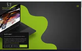 Peppermint-com.fr Screenshot 2024-06-19 02:04:49