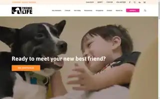 Friends4life.org Screenshot 2024-07-06 11:52:10