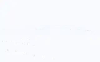 Bursahavuz.com Screenshot 2024-07-08 10:49:20