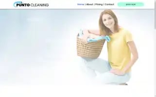 Puntocleaning.com Screenshot 2024-05-23 00:36:05