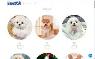 Lisapetdog.com Screenshot 2024-05-23 00:17:11