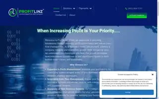 Profitlinz.com Screenshot 2024-05-25 06:20:46