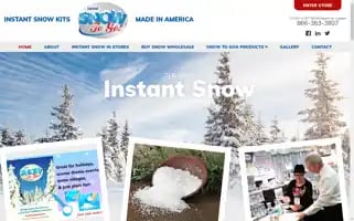Instantsnowtogo.net Screenshot 2024-05-16 02:41:58